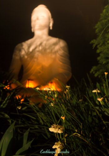 buddha in the flowers