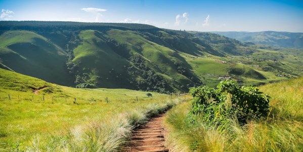 path to the valley c flores