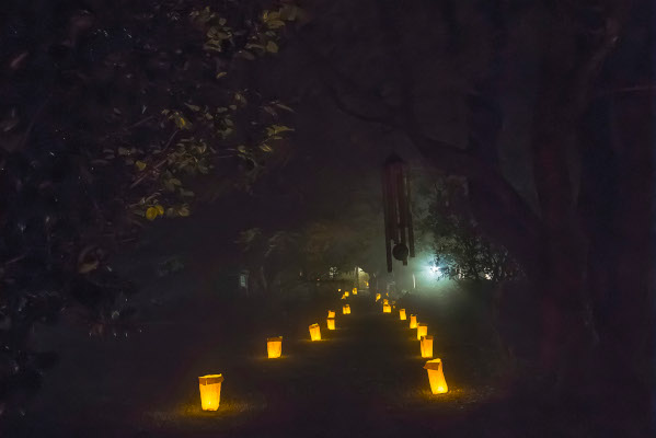 lantern lit path tsondru