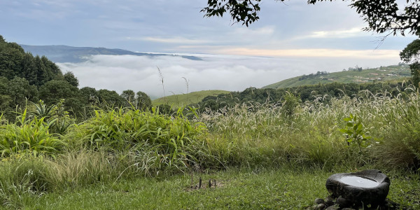 clouds in the valley c lupke