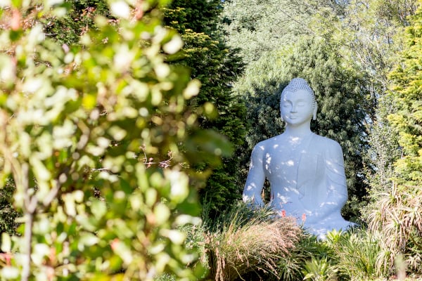buddha rupa lisa de venter