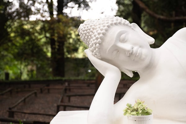 buddha smile o ryan