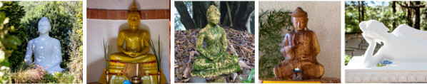 brcbuddhas1