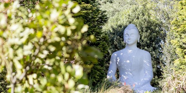 brcixopo buddha ldeventer 6556