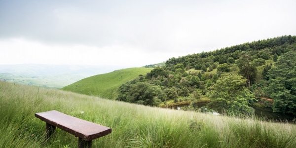 bench in the hills