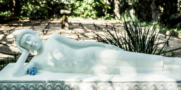 reclining buddha sean laurenz 3632