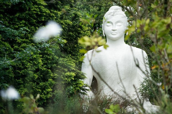 buddha a buckland