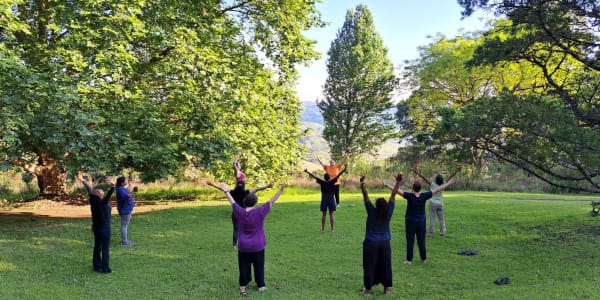 qi gong di franklin