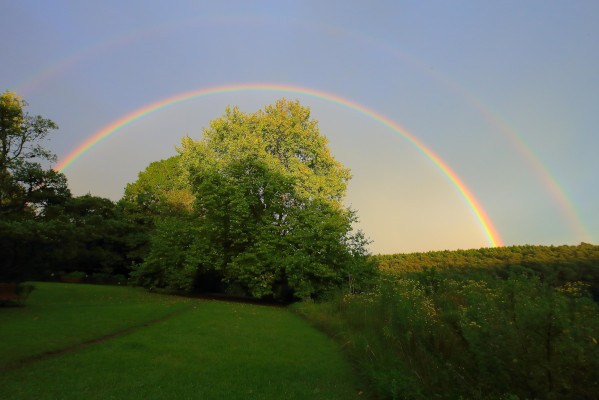 brc andrew brown rainbow