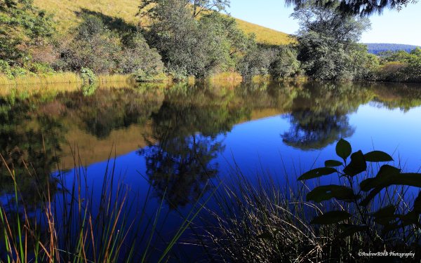 a brown dam