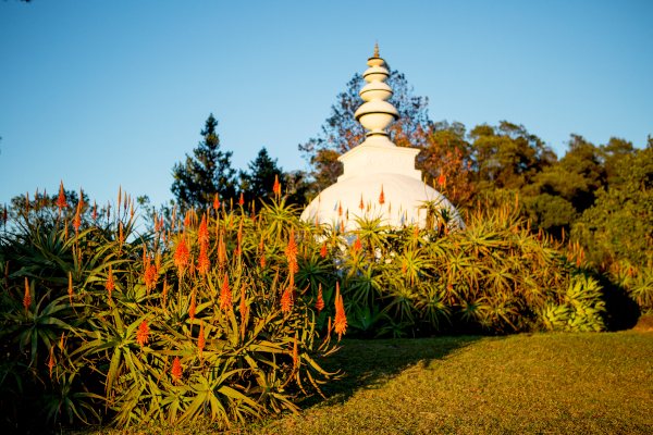 stupa aloes lisa de venter