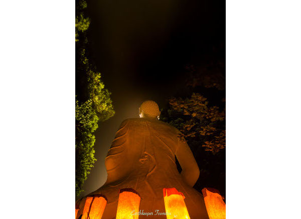 buddha lantern w