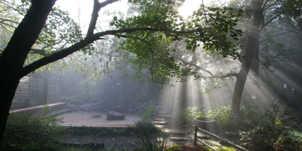 zen garden light