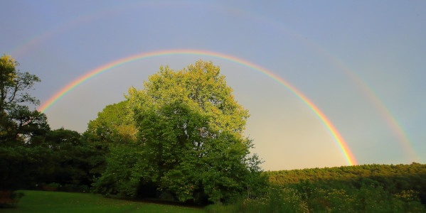 brc andrew brown rainbow