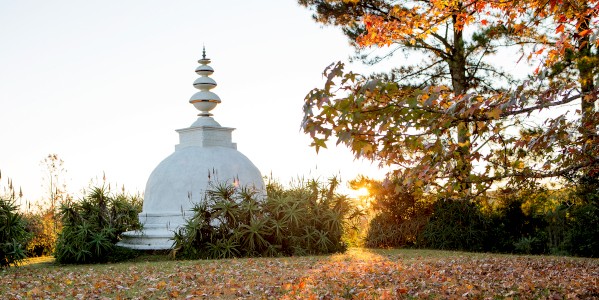 stupa leaves l de venter