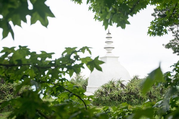 stupa a buckland6235