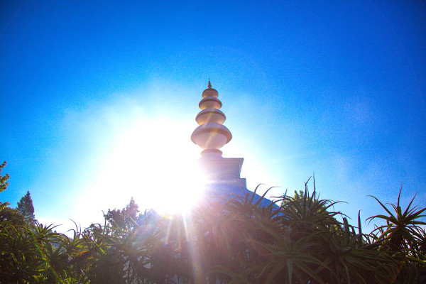 stupa c flores5431