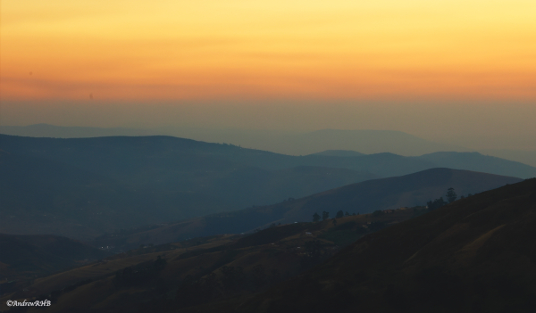 orange dawn a brown
