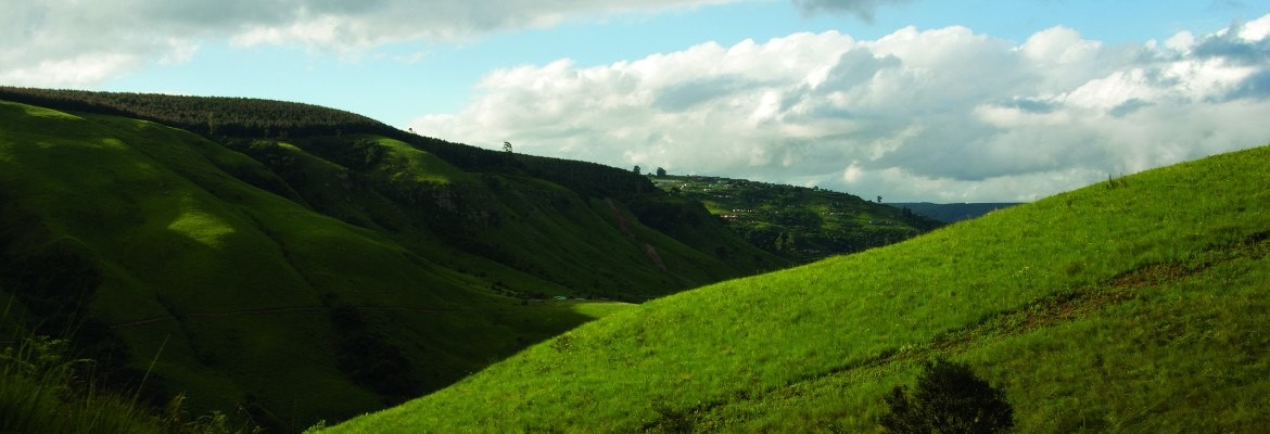 Vista of indigenous valleys, forests and rolling hills receding like waves in the blue distance.