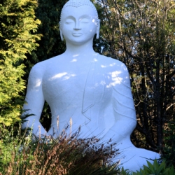 Buddhist statues shrines  icons_3