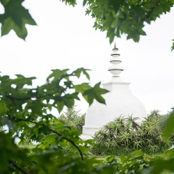 Buddhist statues shrines  icons_8