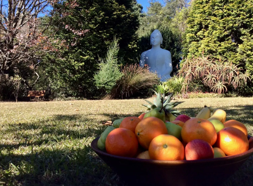 buddha fruit wanda hennig